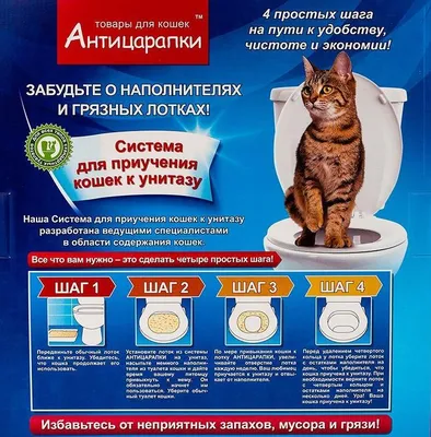 Автоматический туалет для кошек PETREE модель АСС-18-01, WiFi версия купить  в интернет-магазине Бетховен