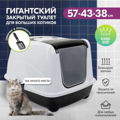 Туалет Ёшкин кот с бортиком для кошек 40,2*30*9,3 см - купить в  Новосибирске по цене от 281 рубль в интернет-магазине Мокрый Нос с доставкой