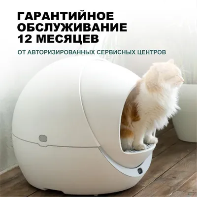 Туалет лоток ZooWell UV для кошек и котят закрытый складной с  УФ-стерилизацией, совок - купить с доставкой по выгодным ценам в  интернет-магазине OZON (963130918)