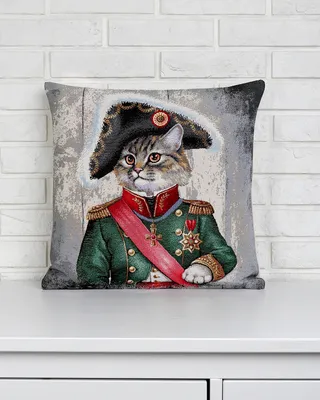 🐈Мини-кошка Наполеон - коротколапый пушистик | Нос, хвост, лапы | Дзен