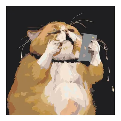 рыжий кот плачет мем｜Поиск в TikTok