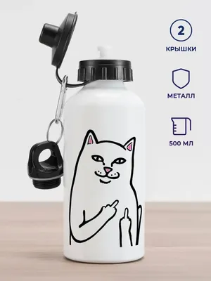 Читатели и журналисты «ИрСити» показали своих кошек - 4 марта 2023 -  ИРСИТИ.ру