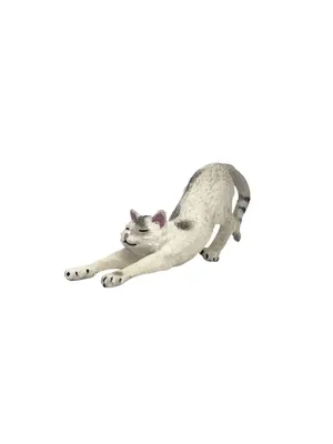 Кошка прыгает и тянется в полной мере высоту Стоковое Фото - изображение  насчитывающей падение, кот: 199140928