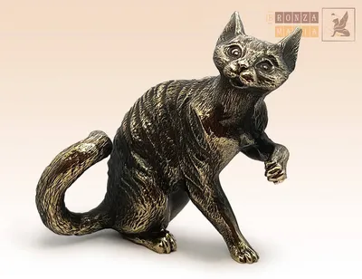 Описание породы кошек девон-рекс от питомника IRRUS