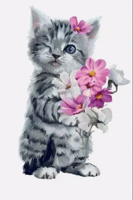 Кот и букет цветов