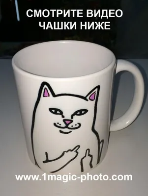 Обложка на паспорт «Кот с факами» — купить в Москве в интернет-магазине  Milarky.ru