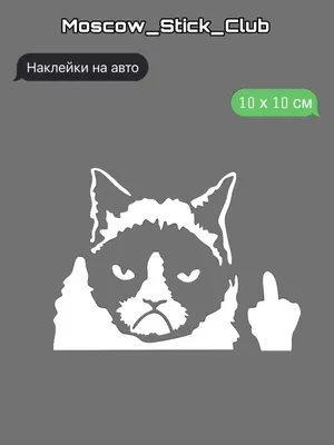 Чашка мем кот с факами кот рипндип (ID#576665596), цена: 250 ₴, купить на  Prom.ua