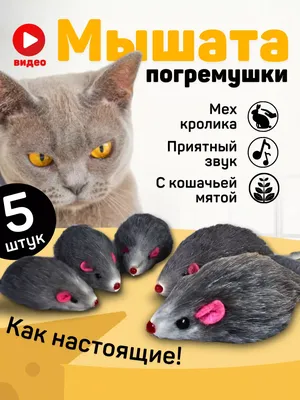 Кот с мышкой купить в интернет-магазине Ярмарка Мастеров по цене 6000 ₽ –  TA7JURU | Картины, Нахабино - доставка по России