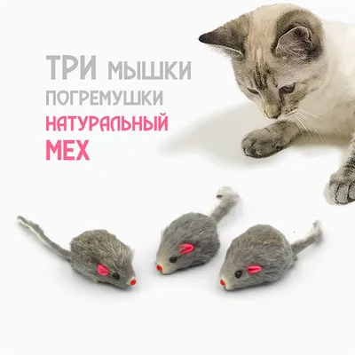 Схема вышивки «Кот с мышкой» (№2571002) - Вышивка крестом