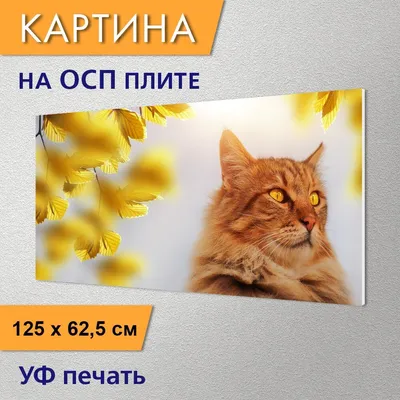 Картина на холсте \"Кот, похмелье, сиамский\" 120x90 см. с алюминиевым  подвесом, в тубусе - купить по низкой цене в интернет-магазине OZON  (493375071)