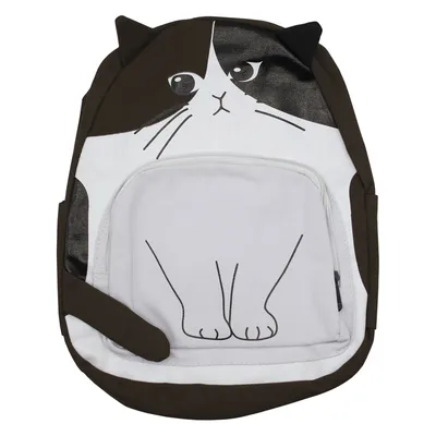 Кот и рюкзак стоковое изображение. изображение насчитывающей зеленый -  28796451