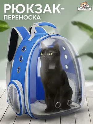 Рюкзак-мешок 3D Длинношерстный гималайский кот купить в интернет магазине |  Цена 1505 руб | Подборки