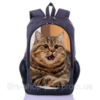 Декорация для аквариума кот с рюкзаком-корзиной купить по низким ценам в  интернет-магазине Uzum (645539)