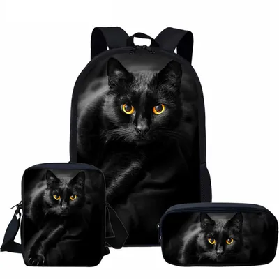 Хигсс - кот из рюкзака - Хорошие новости про животных