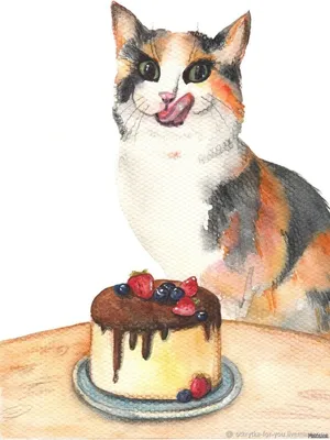 Кот ел торт на кухне стоковое фото. изображение насчитывающей удерживание -  161142258
