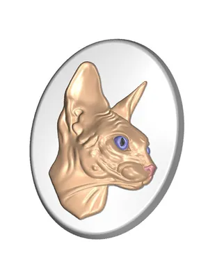 Сфинксы - фото и описание породы кошек (характер, уход и кормление)