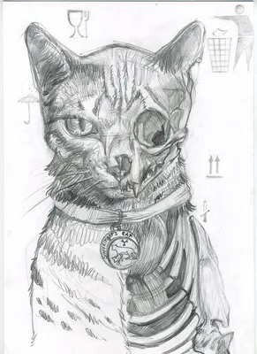 Иллюстрация кот шредингера в стиле сюр | Illustrators.ru