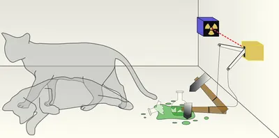 Ученые записали парадокс кота Шредингера на камеру