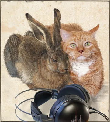 Какой музыкой надо встречать год кролика/кота | МУЗЫКАЛЬНЫЙ ГОРШОК  КЛУРИКОНА | Дзен