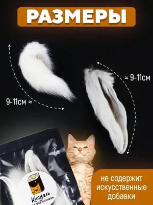 Корм Pro хвост для кошек с кроликом - «Что нам уход известных брендов,  когда есть Российский производитель. Кот сытый и игривый, хозяйка довольна  от низкой цены. Корм для кошек PRO хвост с