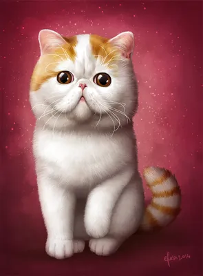 Новая звезда интернета-кот Снупи (17 фото) » Клопик.КоМ
