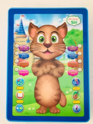 Интерактивная игрушка Говорящий кот ТОМ 22 см. / Детская игрушка Том  Говорящая Кот - купить с доставкой по выгодным ценам в интернет-магазине  OZON (1117511563)