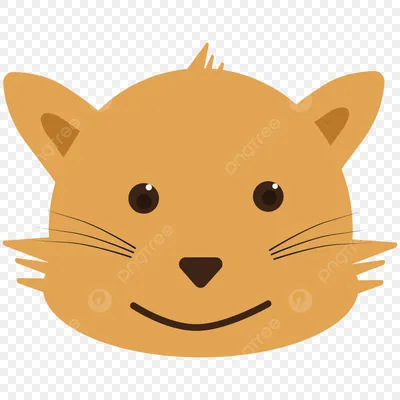 cats кот улыбка #smile настроение mood #кошки домашний питомец рыжий кот |  Питомец, Рыжий кот, Кошки