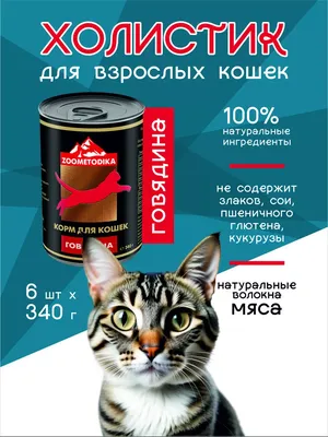 Банки Best Dinner Exclusive Renal для кошек при заболевании почек с  ягнёнком – купить в Москве, цены | Интернет-магазин Динозаврик