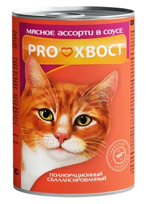 ZOOMETODIKA Корм для кошек влажный в банке холистик упаковка 6 шт