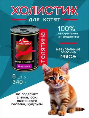 Банка для сыпучих продуктов \"Кот и К\" - купить в интернет-магазине «Дымов  Керамик»