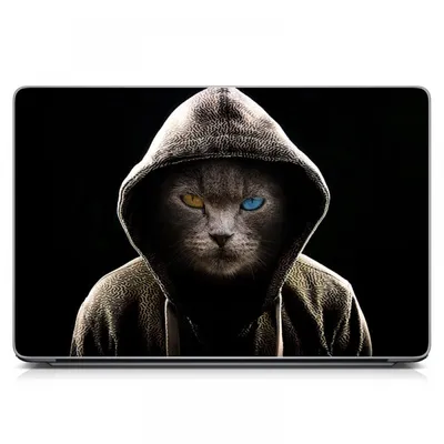 Универсальная наклейка на ноутбук 15.6\"-13.3\" Кот в капюшоне Матовый  380х250 мм - Купить недорого и в высоком качестве