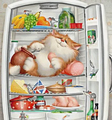 Голодный Кот В Холодильнике Крадет Колбасу — стоковые фотографии и другие  картинки Холодильник - Холодильник, Ловить, Питомцы - iStock
