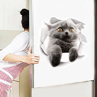Жирный кот - Надпись на холодильнике: «Торт (наверху,... | Facebook