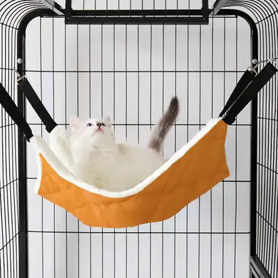 Кот сидит в клетке с миской с едой. | Премиум Фото