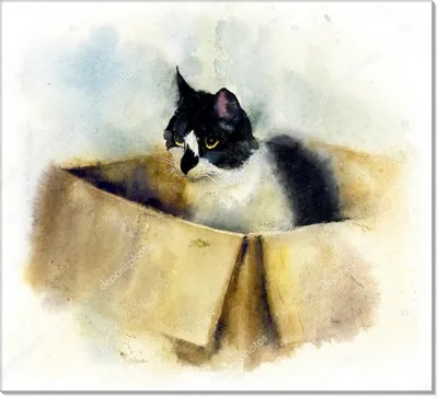 Купить картина по номерам Рыжий кот с красками в коробке Забавные коты в  очках 30х40см, цены на Мегамаркет | Артикул: 100029562630