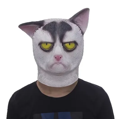 Кот в маске на фоне вечернего …» — создано в Шедевруме