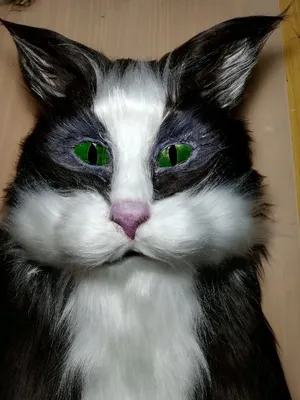 Воротник защитный для кошек wikiVET (маска) купить в Москве