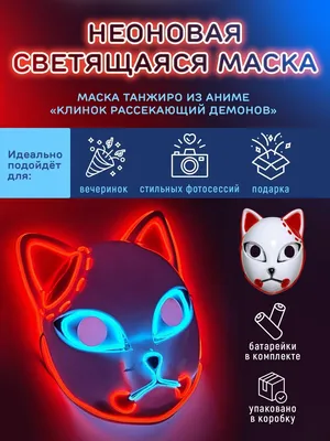 Котенок в маске Зорро стал новой сенсацией в TikTok (фото, видео)