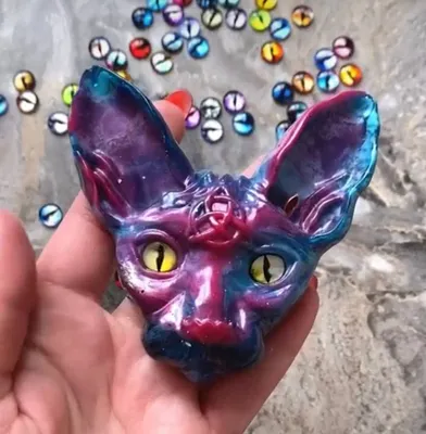 Котенок в маске Зорро стал новой сенсацией в TikTok (фото, видео)