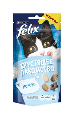 Новая звезда интернета — черная кошка в белом молоке (веселое видео) |  Новости Беларуси | euroradio.fm