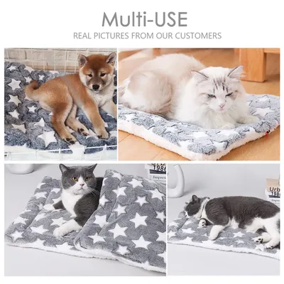 Одеяло с рисунком кота и мема для косплея аниме для дивана тонкие одеяла в  стиле ретро | AliExpress