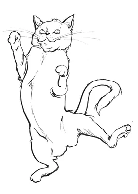 Забавный Кот Прыжки Вверх — стоковые фотографии и другие картинки Домашняя  кошка - Домашняя кошка, Прыгать, Белый фон - iStock