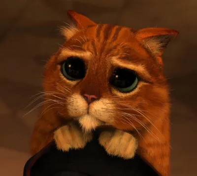 Кот в сапогах 2: Последнее желание - «🔥Кот в сапогах - это колоритные  персонажи, юмор из Шрека, красивая анимация от DreamWorks Animation, в  целом хорошее продолжение» | отзывы