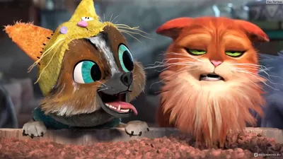 Вышел новый трейлер мультфильма \"Кот в сапогах 2: Последнее желание\" |  GameMAG