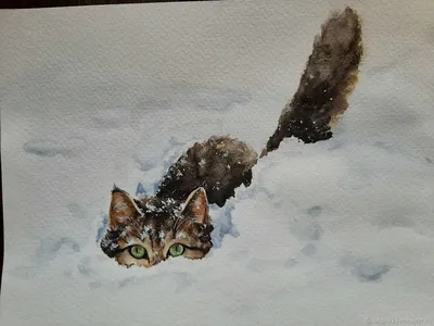 Кот в снегу на туманном зимние ночи Стоковое Фото - изображение  насчитывающей разведенными, напольно: 200419890