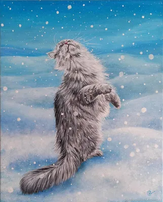Фотогалерея - Снежные кошки - Забавные фото кошек