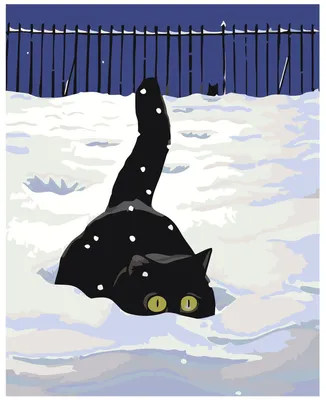 картинки : снег, черное и белое, Кот, Млекопитающее, Темнота, черная кошка,  Черный, Бакенбарды, Морда, Макросъемка, От маленьких до средних кошек,  Кошка как млекопитающее, Карниворан, Домашняя короткошерстная кошка  3543x2354 - - 1374535 - красивые ...