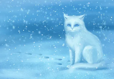 Зимний кот обои - 61 фото