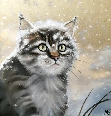 Кот в снегу, 30 x 40, RA014 (ID#95789882), цена: 30.80 руб., купить на  Deal.by