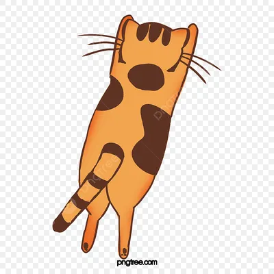 Скача вид сзади котенка кота Стоковое Изображение - изображение  насчитывающей млекопитающее, скакать: 99006653
